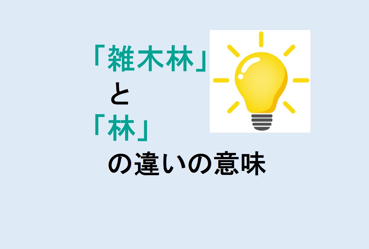 雑木林と林の違い