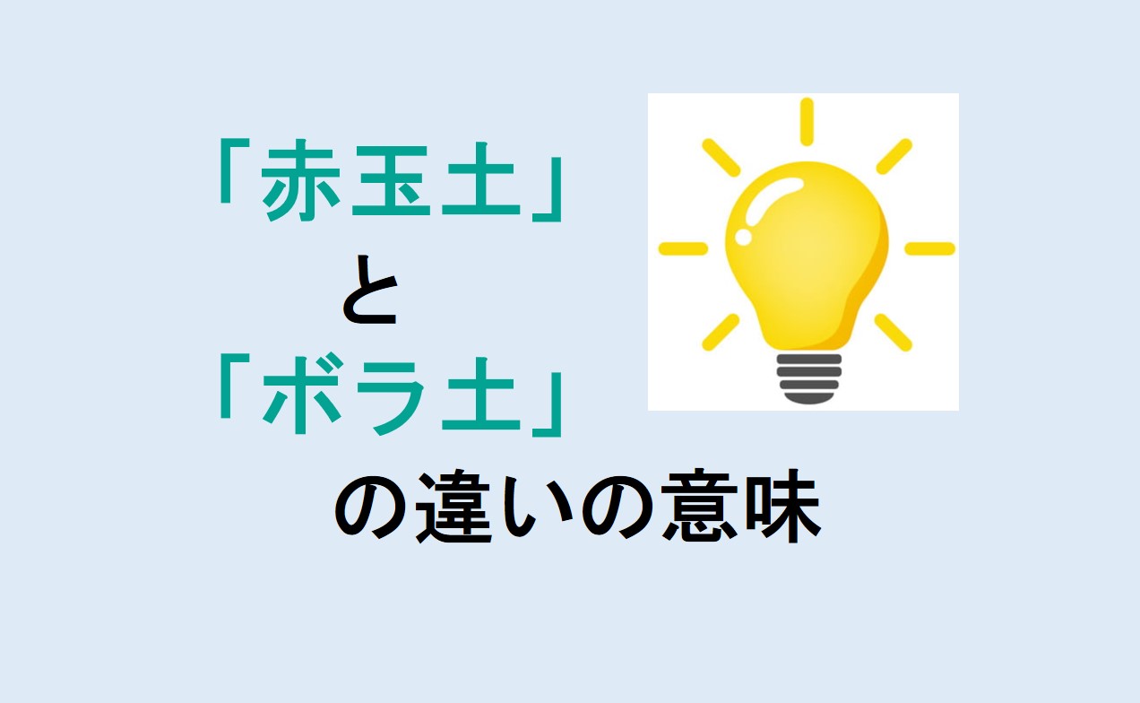 赤玉土とボラ土の違い