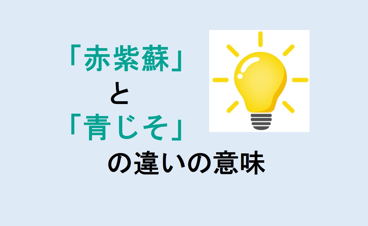 赤紫蘇と青じその違い