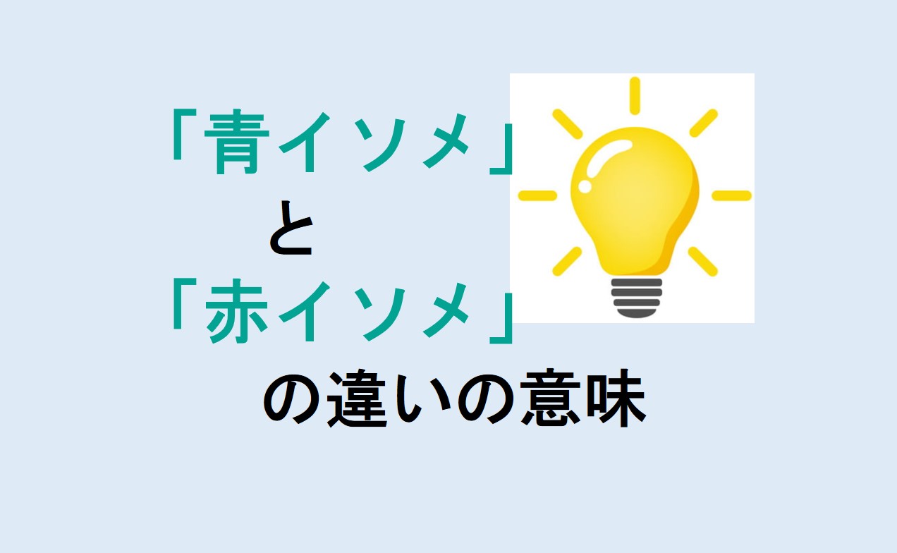 青イソメと赤イソメの違い