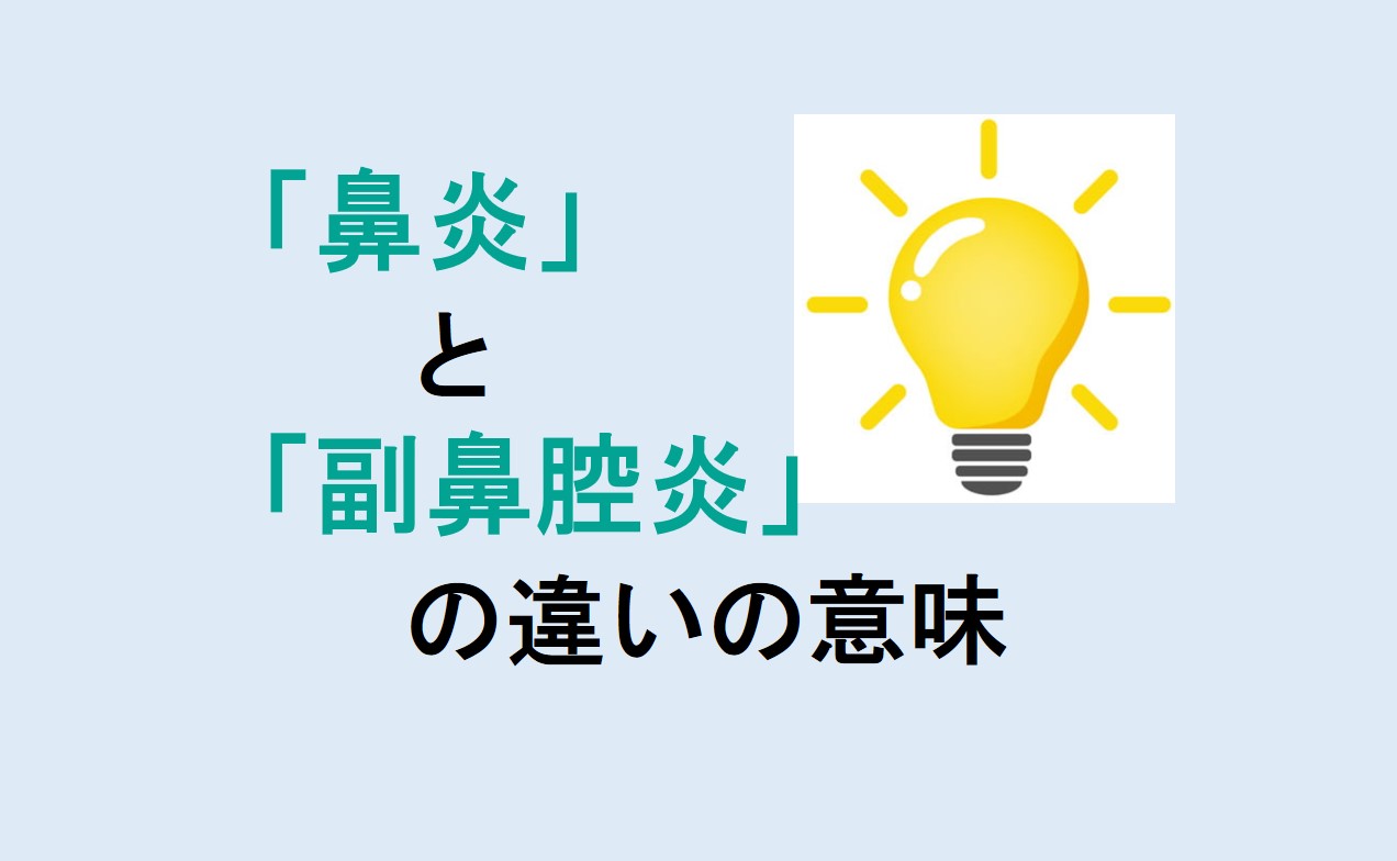 鼻炎と副鼻腔炎の違い