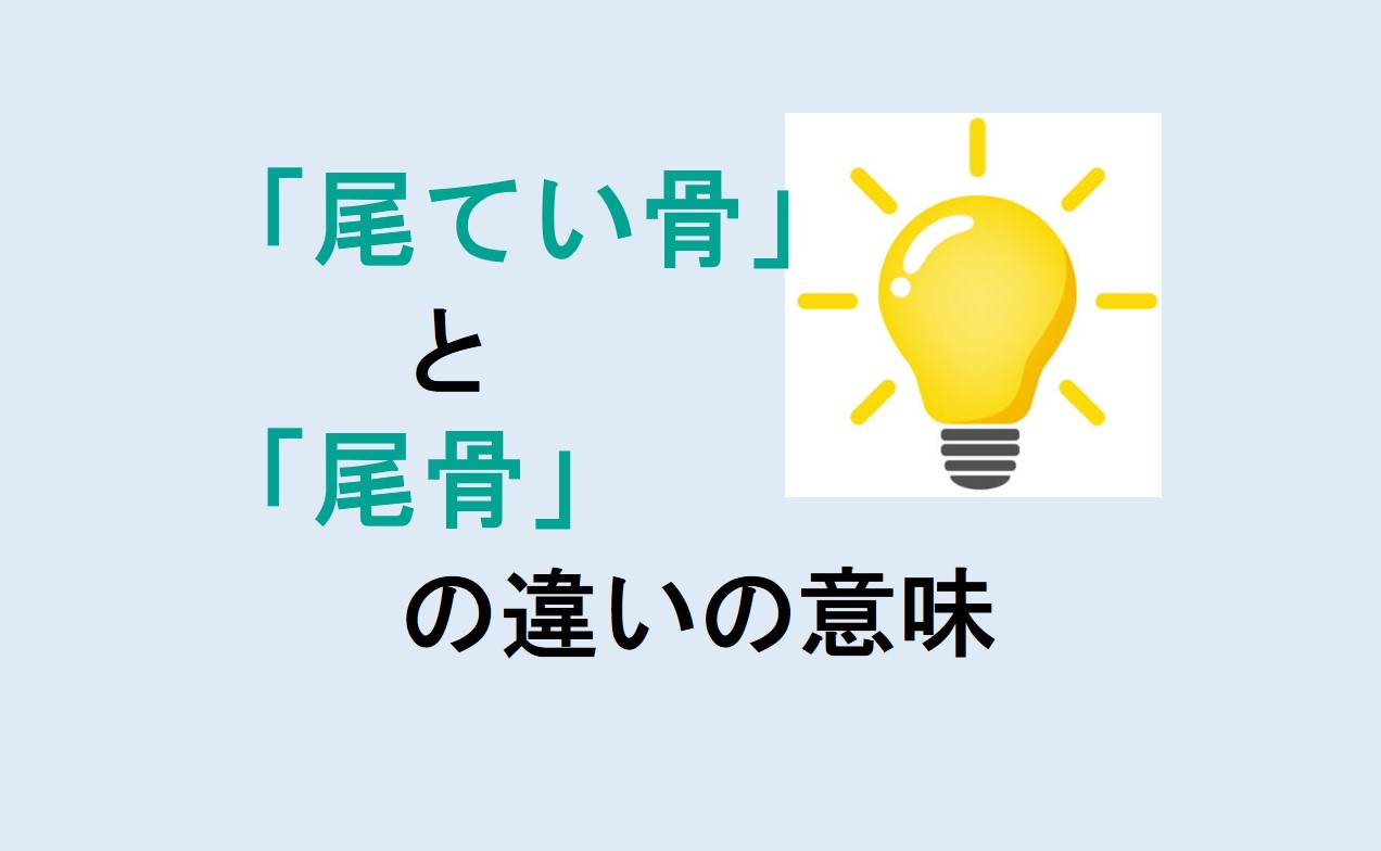 尾てい骨と尾骨の違い