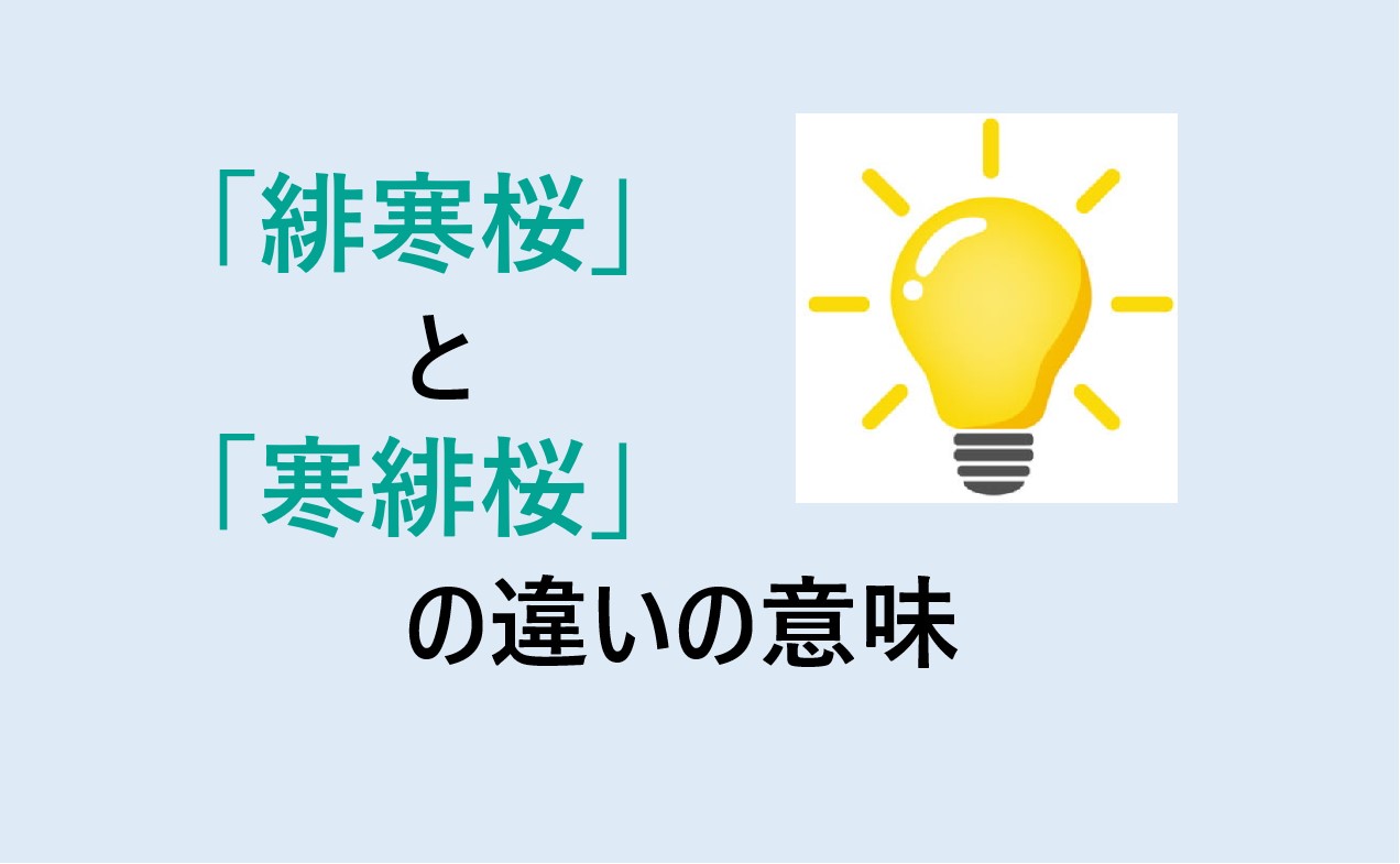 緋寒桜と寒緋桜の違い