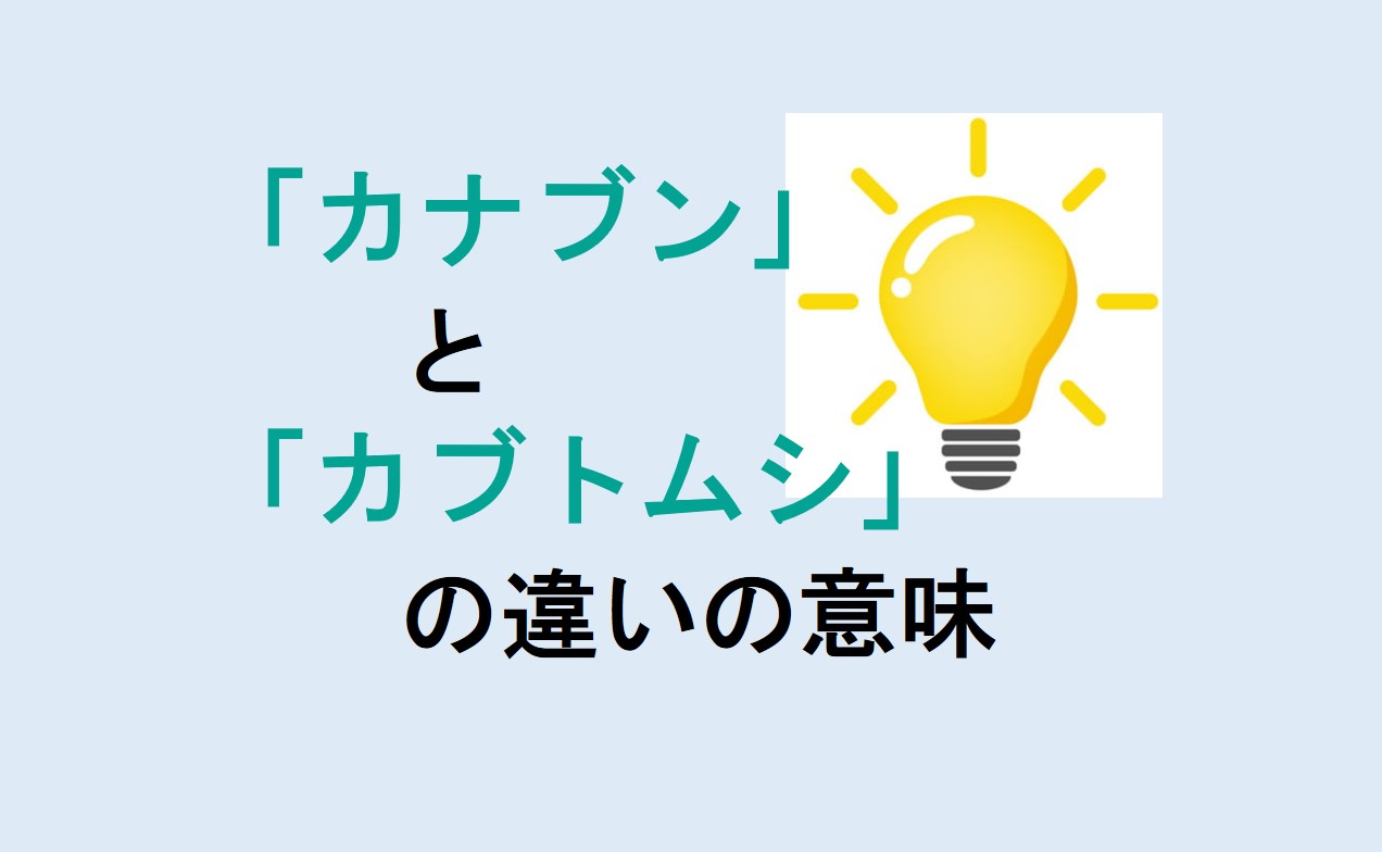 カナブンとカブトムシの違い