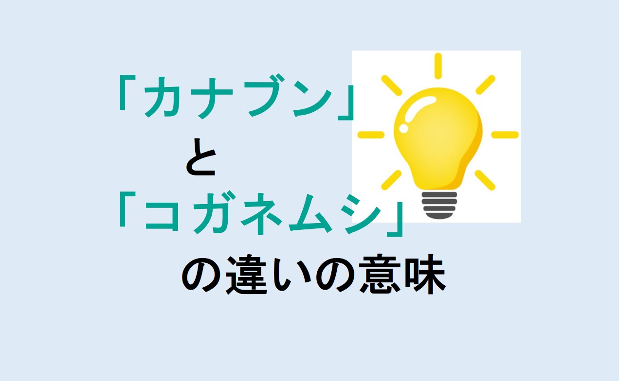 カナブンとコガネムシの違い