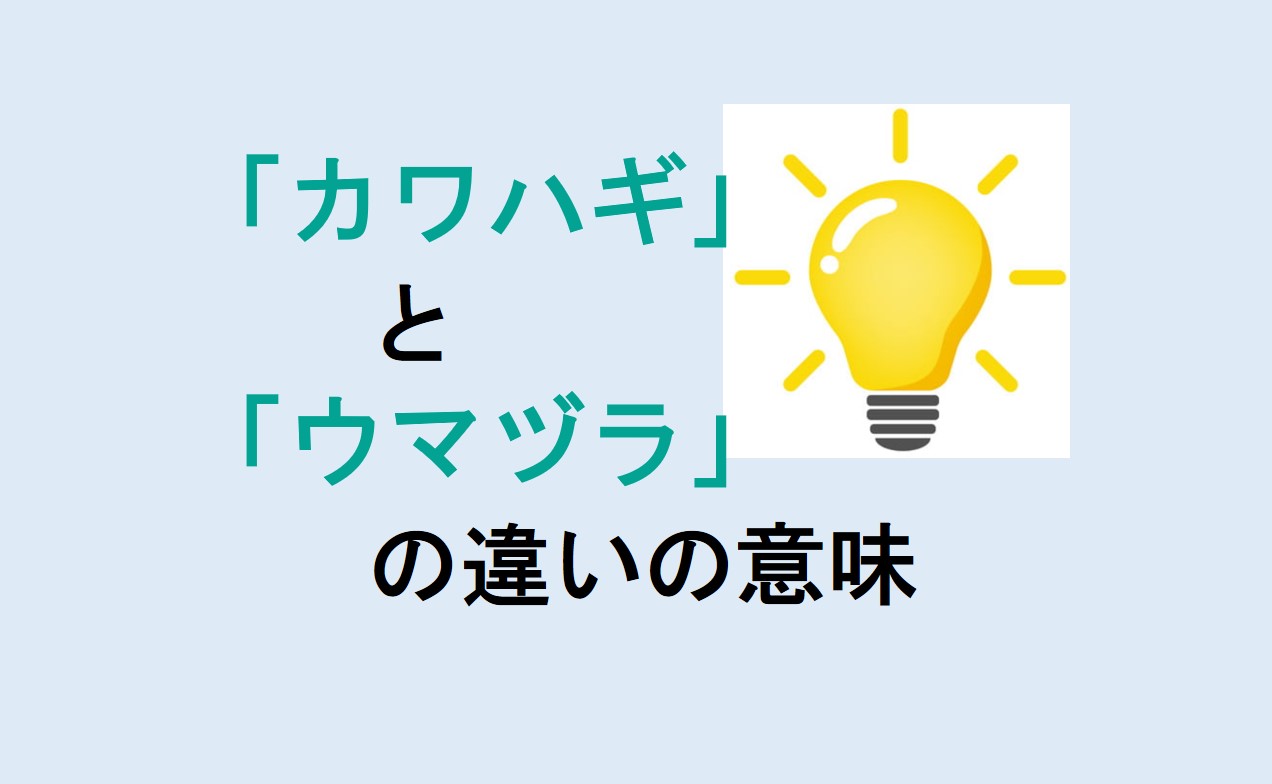 カワハギとウマヅラの違い