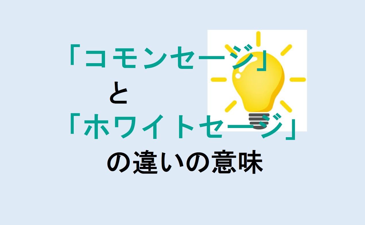 コモンセージとホワイトセージの違い