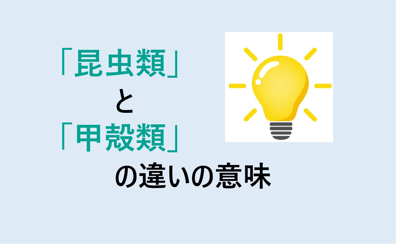 昆虫類と甲殻類の違い