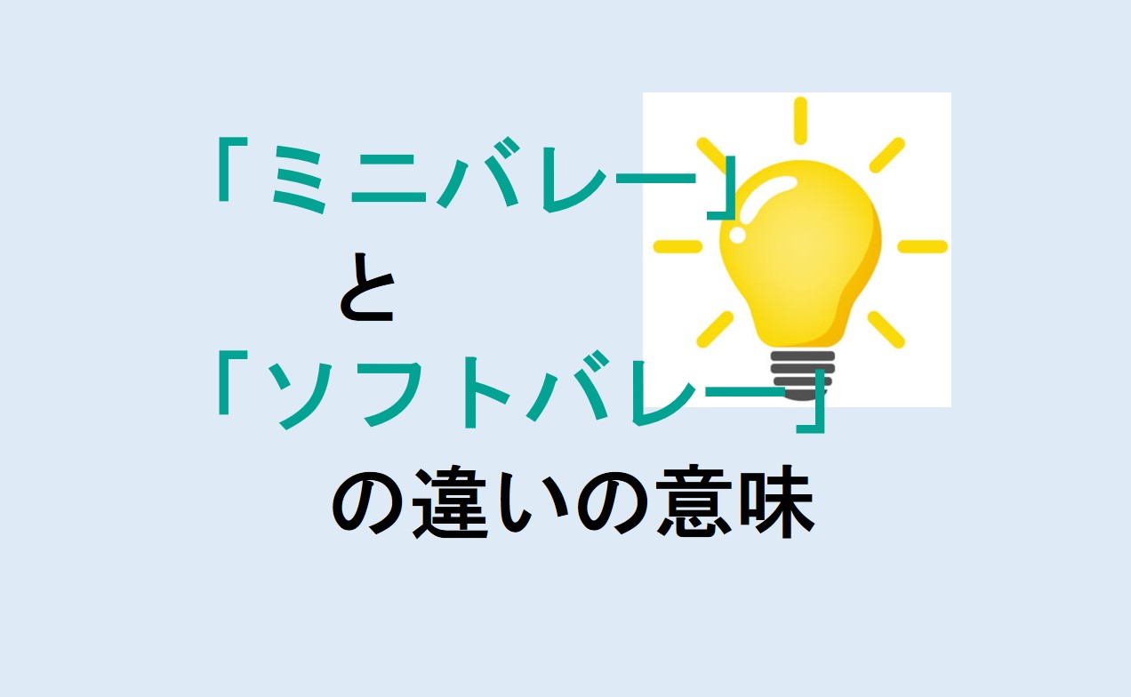 ミニバレーとソフトバレーの違い