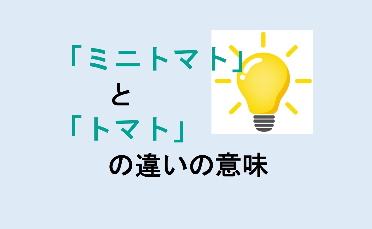 ミニトマトとトマトの違い