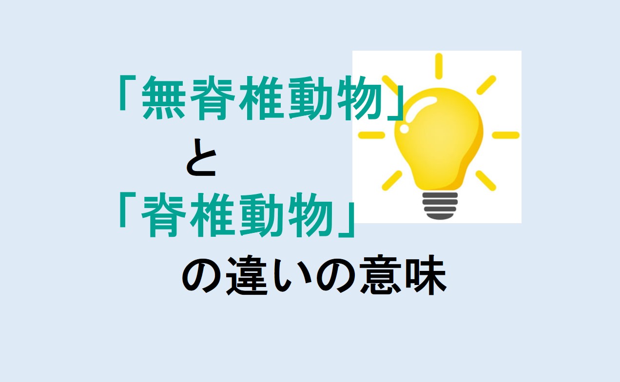 無脊椎動物と脊椎動物の違い