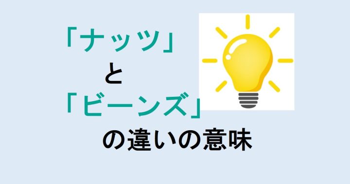 ナッツとビーンズの違いの意味を分かりやすく解説！