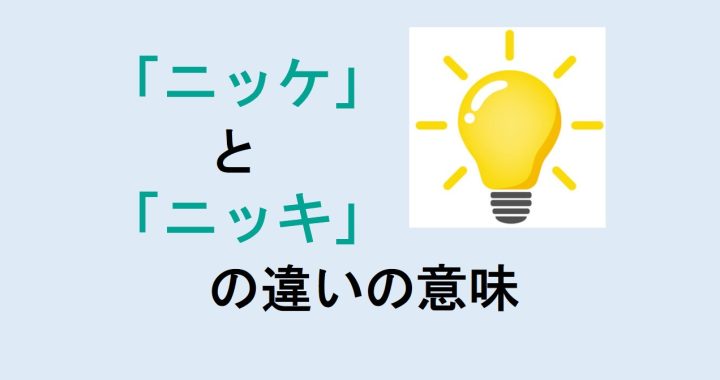 ニッケとニッキの違いの意味を分かりやすく解説！