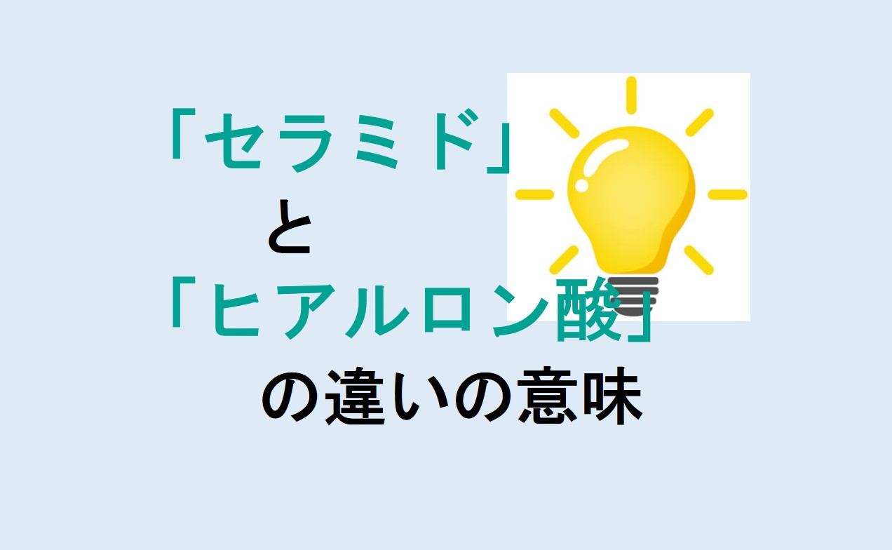 セラミドとヒアルロン酸の違い