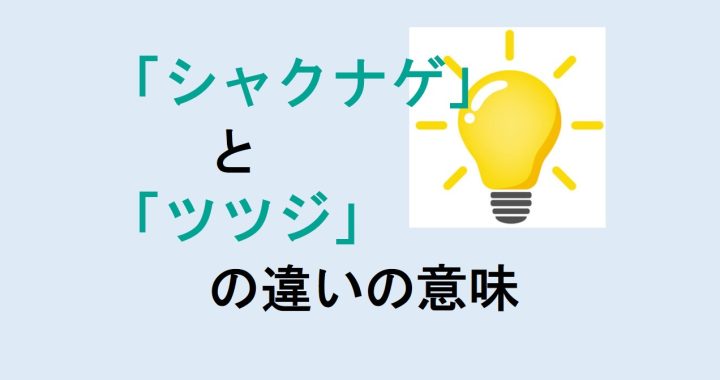 シャクナゲとツツジの違いの意味を分かりやすく解説！