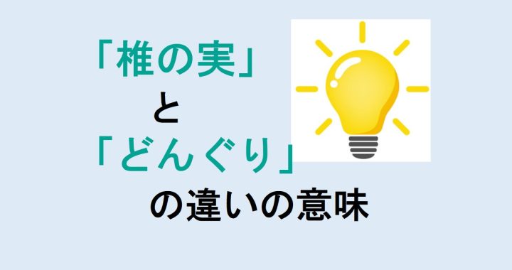 椎の実とどんぐりの違いの意味を分かりやすく解説！