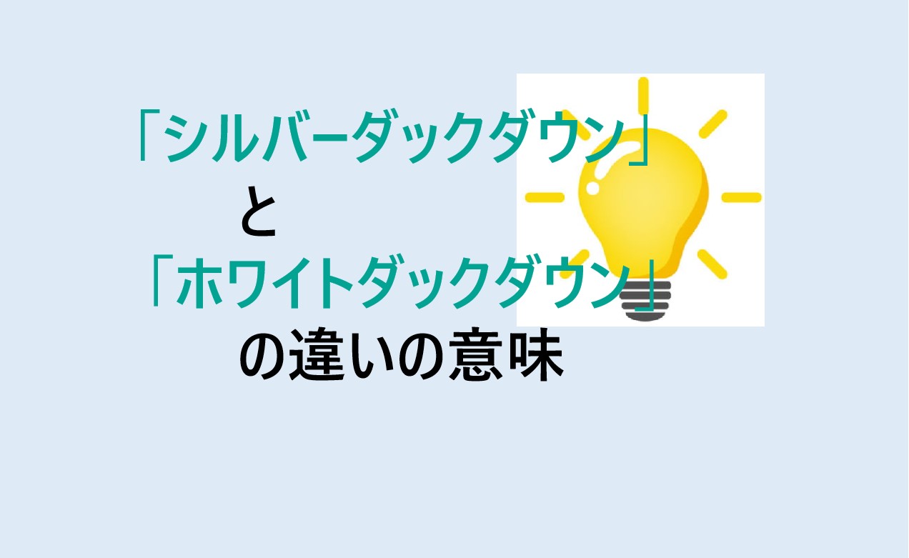 シルバーダックダウンとホワイトダックダウンの違い