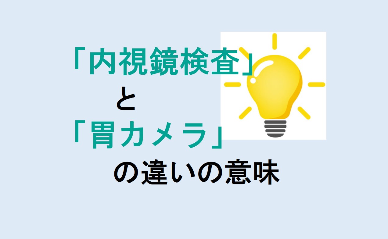 内視鏡検査と胃カメラの違い