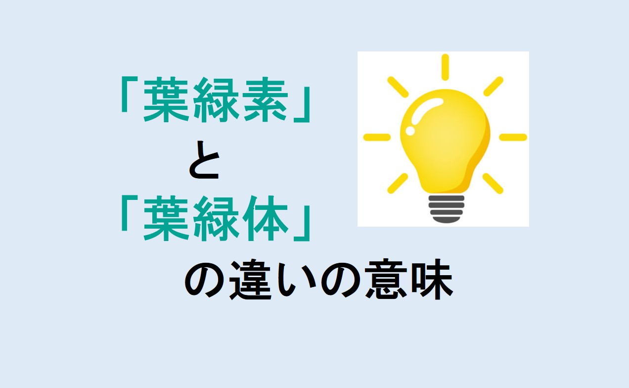 葉緑素と葉緑体の違い