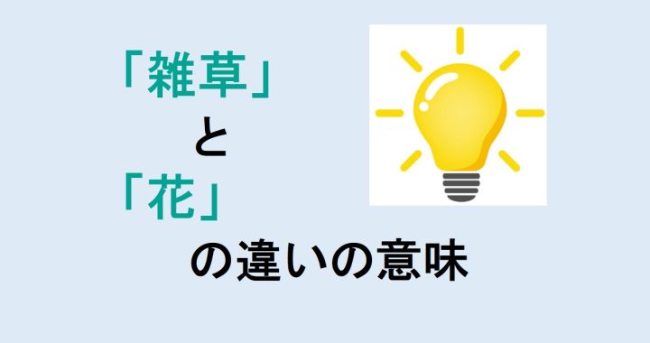 雑草と花の違いの意味を分かりやすく解説！