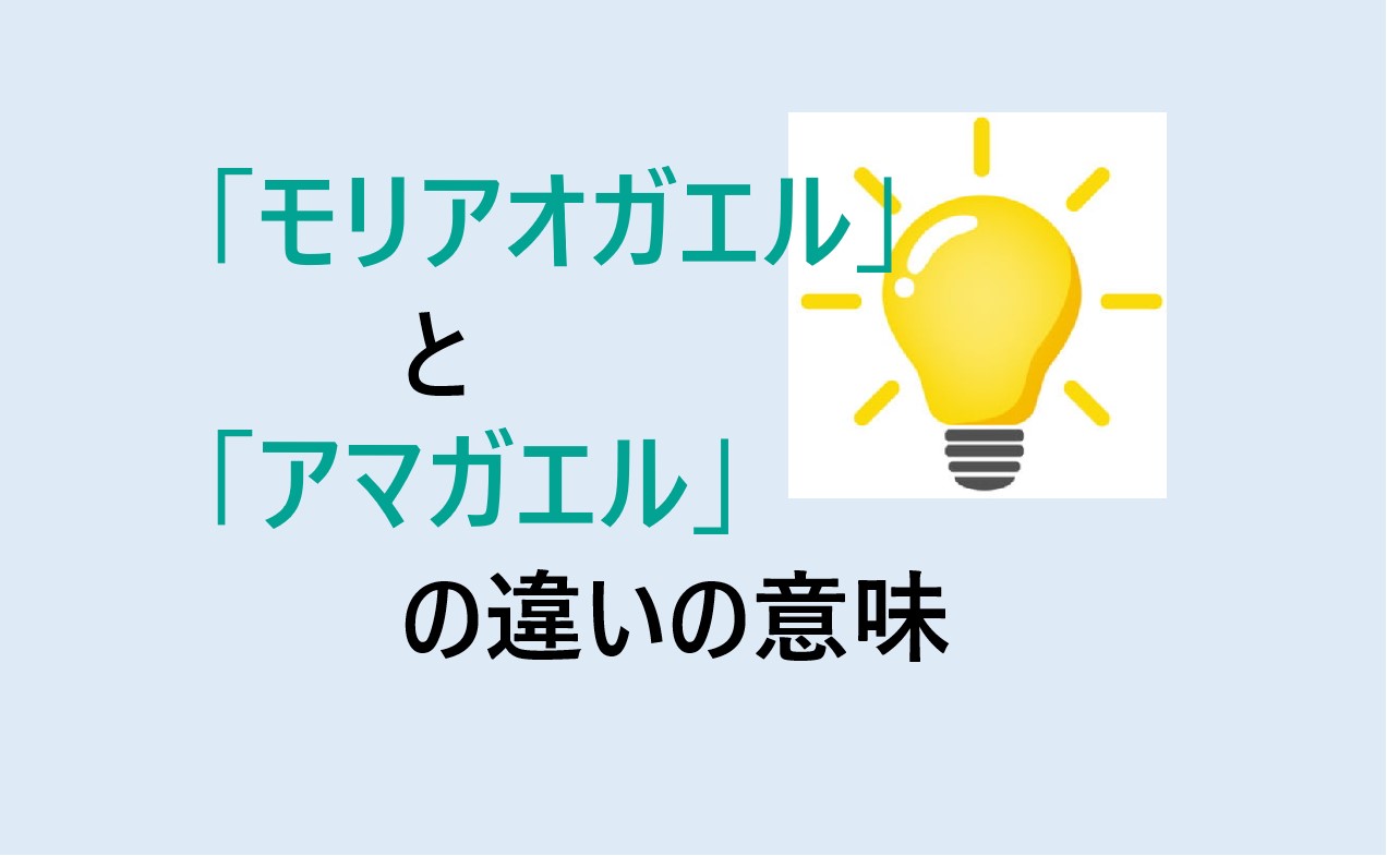 モリアオガエルとアマガエルの違い