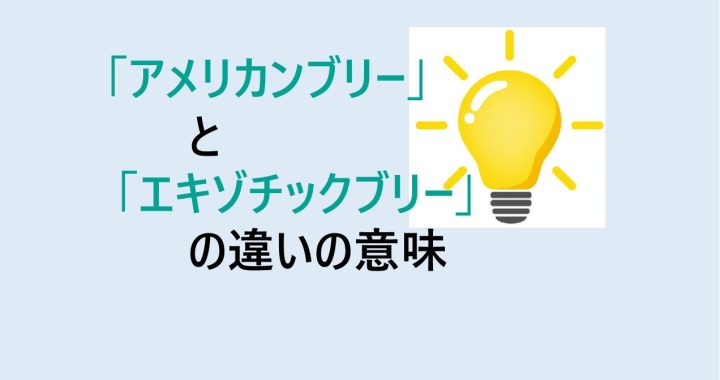 アメリカンブリーとエキゾチックブリーの違いの意味を分かりやすく解説！