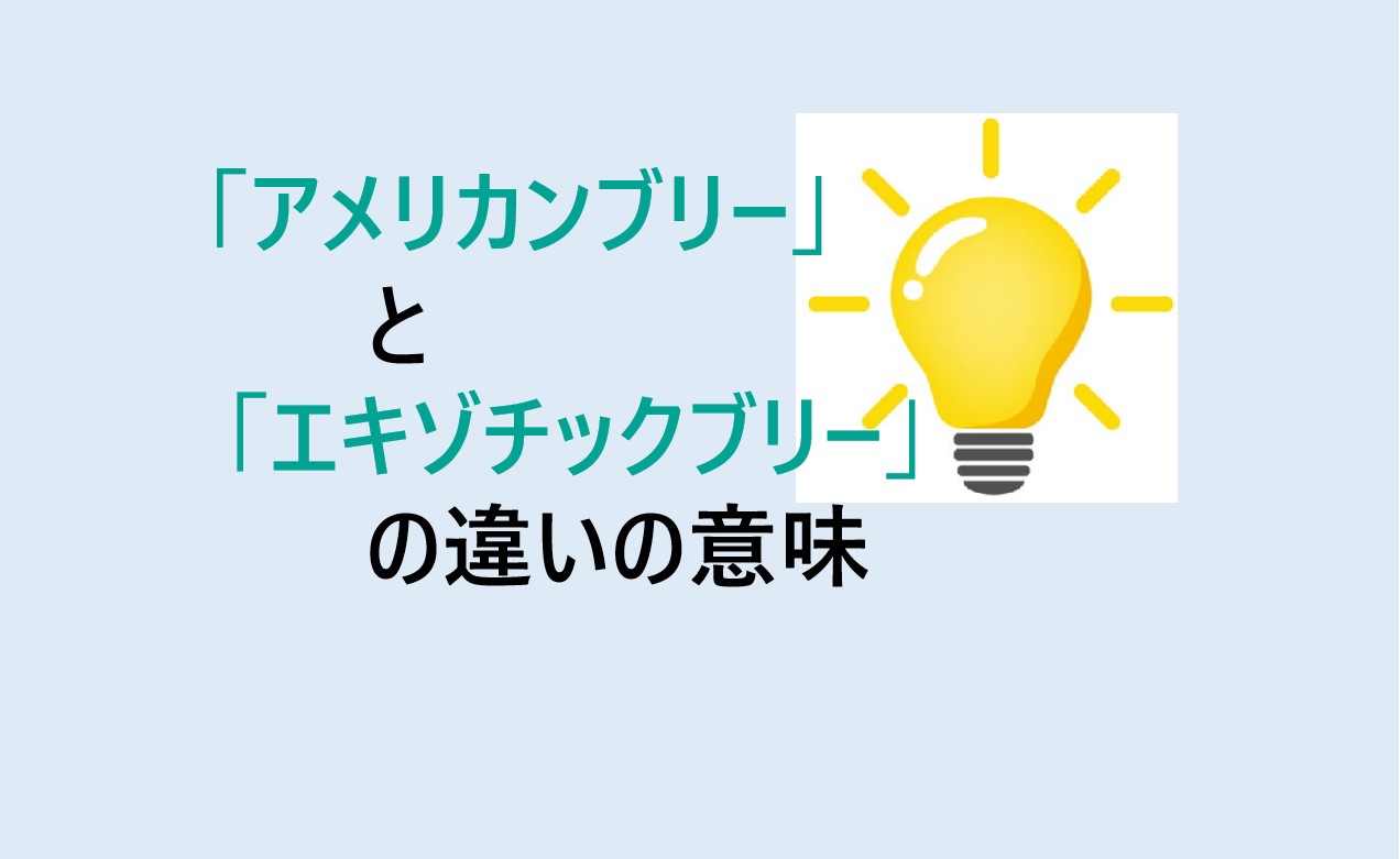 アメリカンブリーとエキゾチックブリーの違い