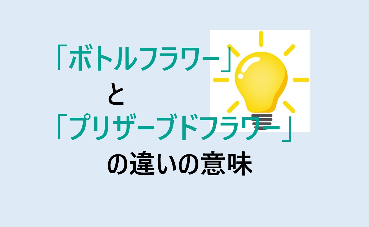 ボトルフラワーとプリザーブドフラワーの違い