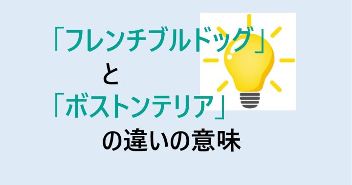 フレンチブルドッグとボストンテリアの違いの意味を分かりやすく解説！