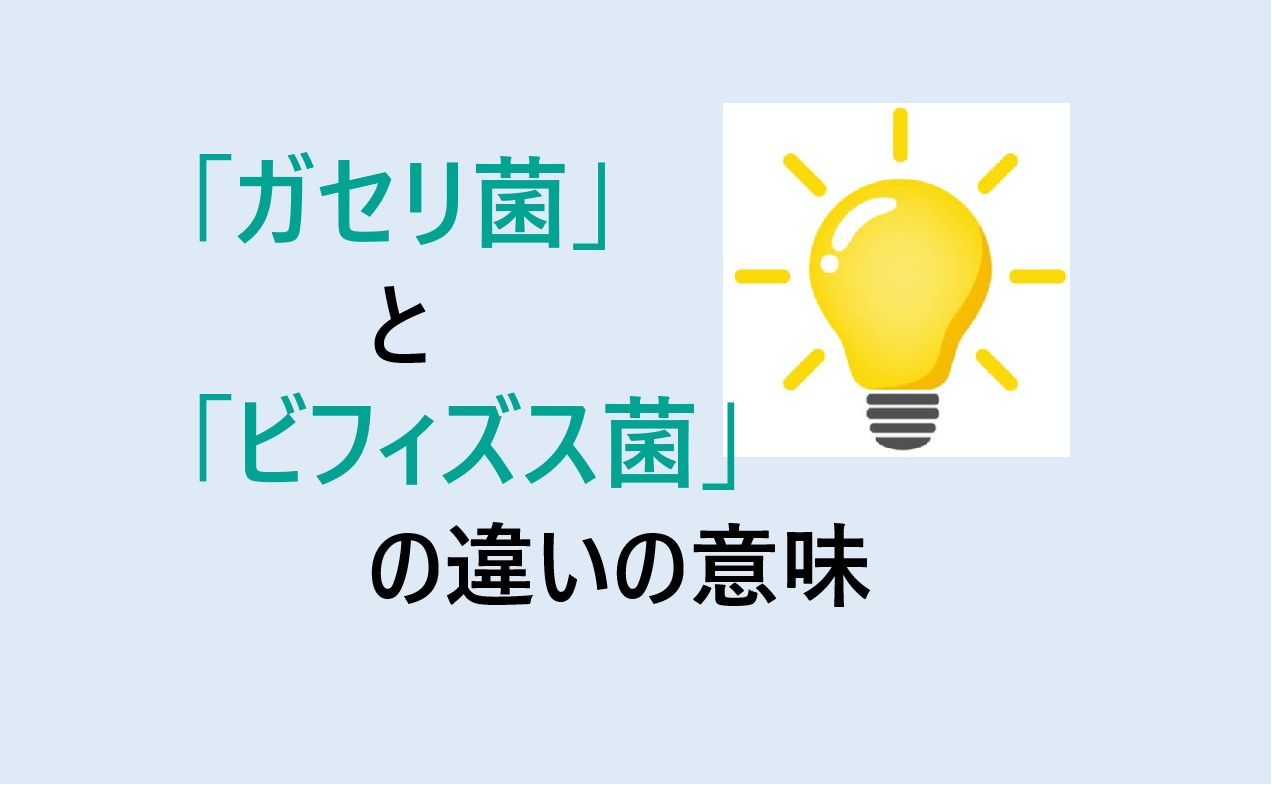 ガセリ菌とビフィズス菌の違い