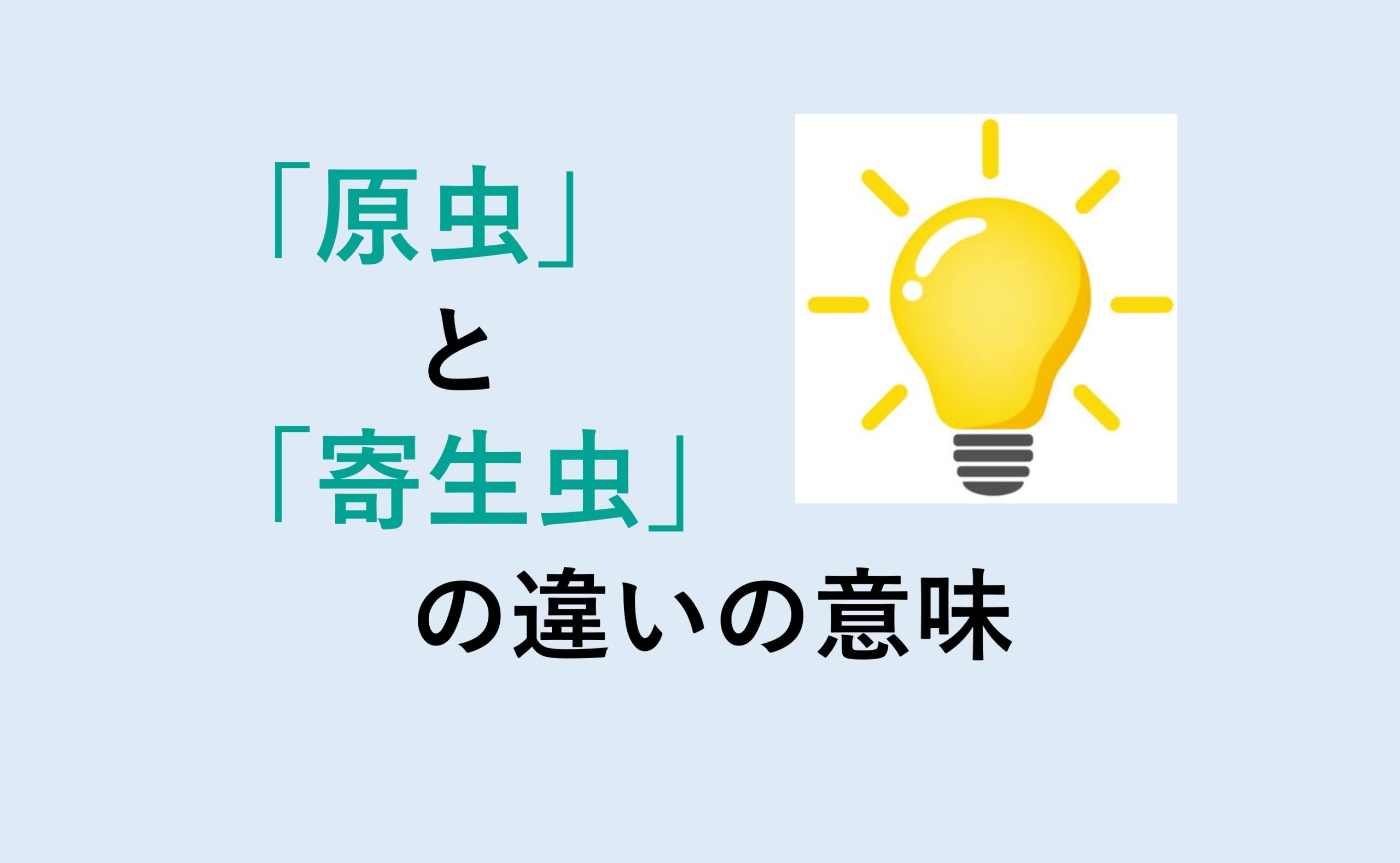 原虫と寄生虫の違いと