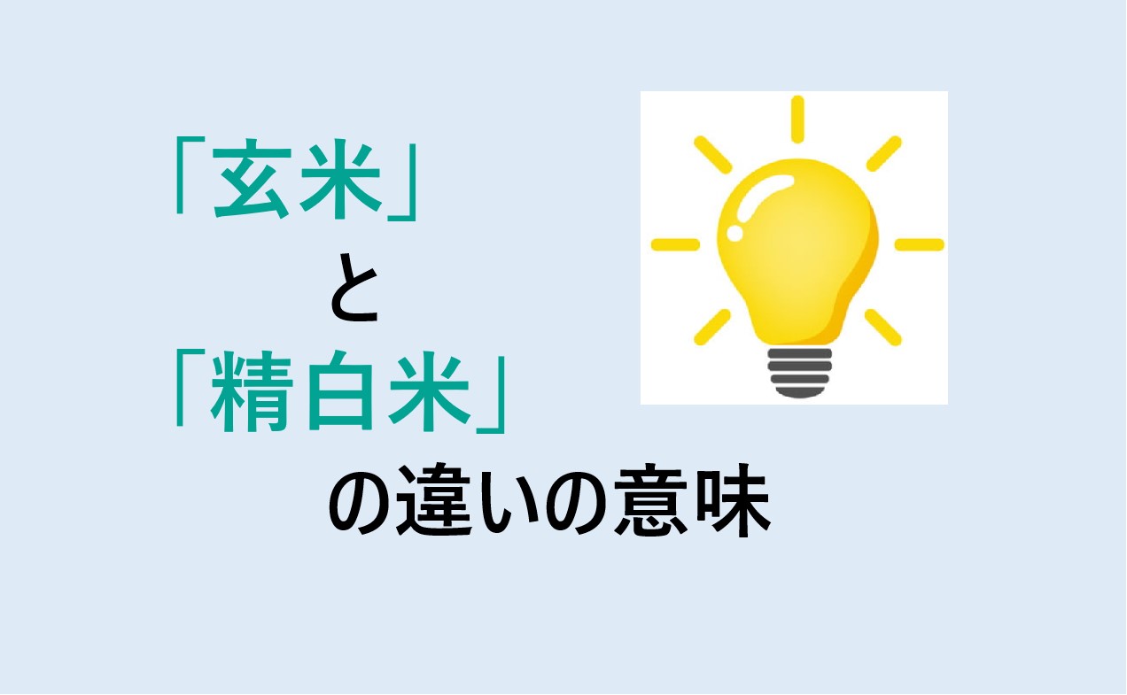 玄米と精白米の違い