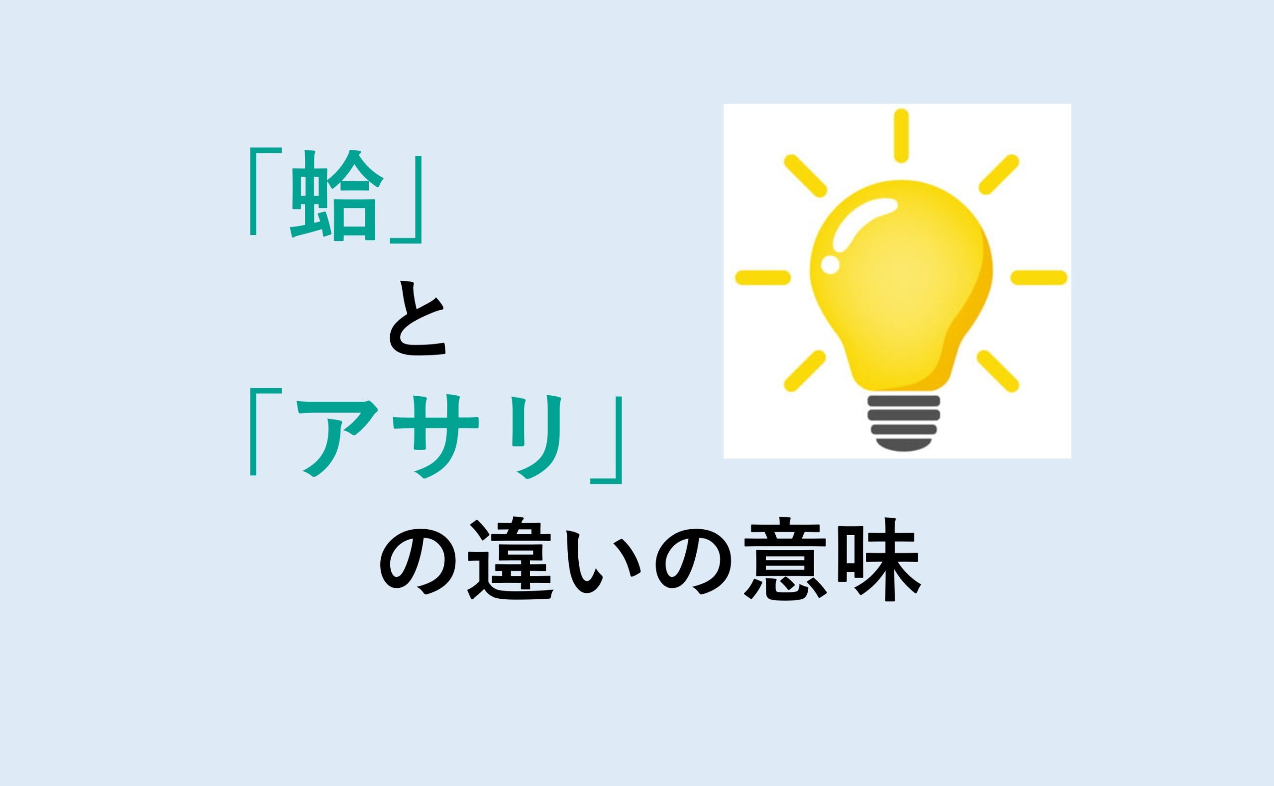 蛤とアサリの違いの意味を分かりやすく解説！