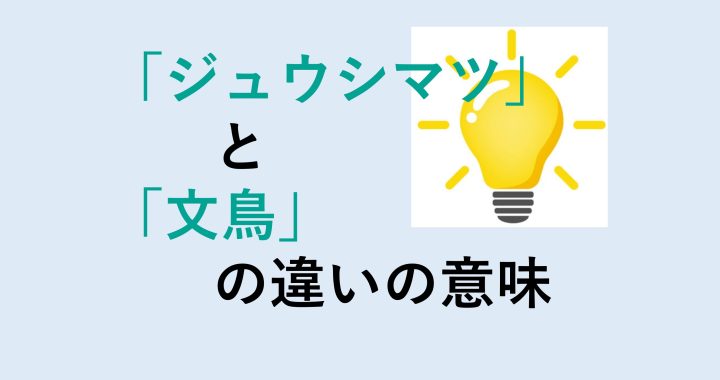 ジュウシマツと文鳥の違いの意味を分かりやすく解説！