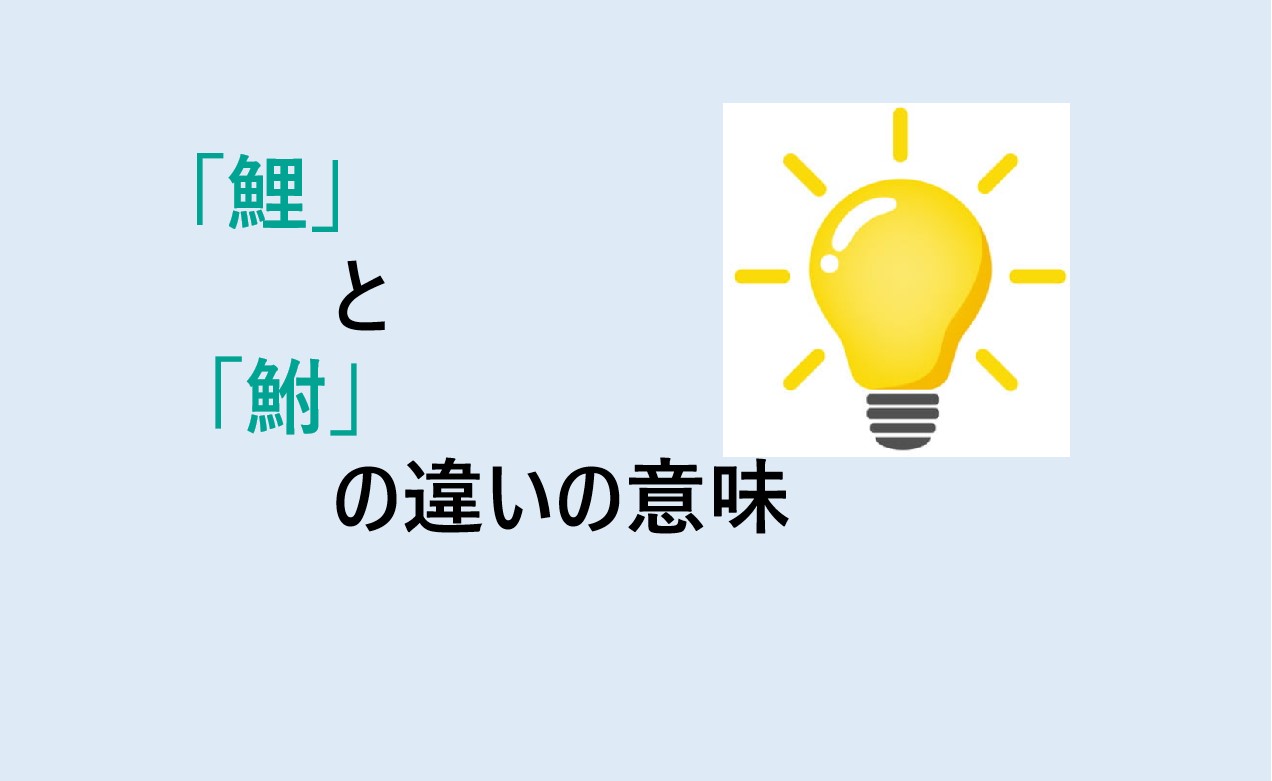 鯉と鮒の違い