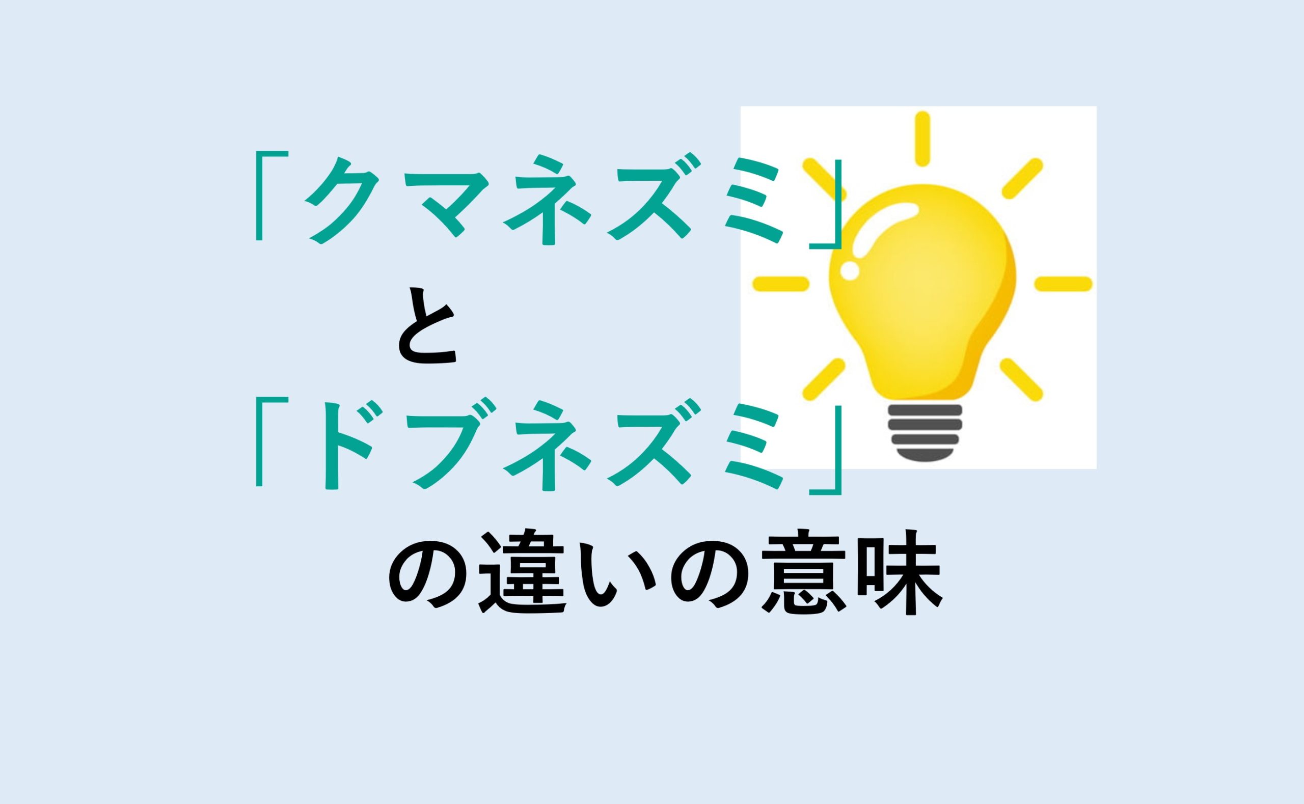 クマネズミとドブネズミの違い