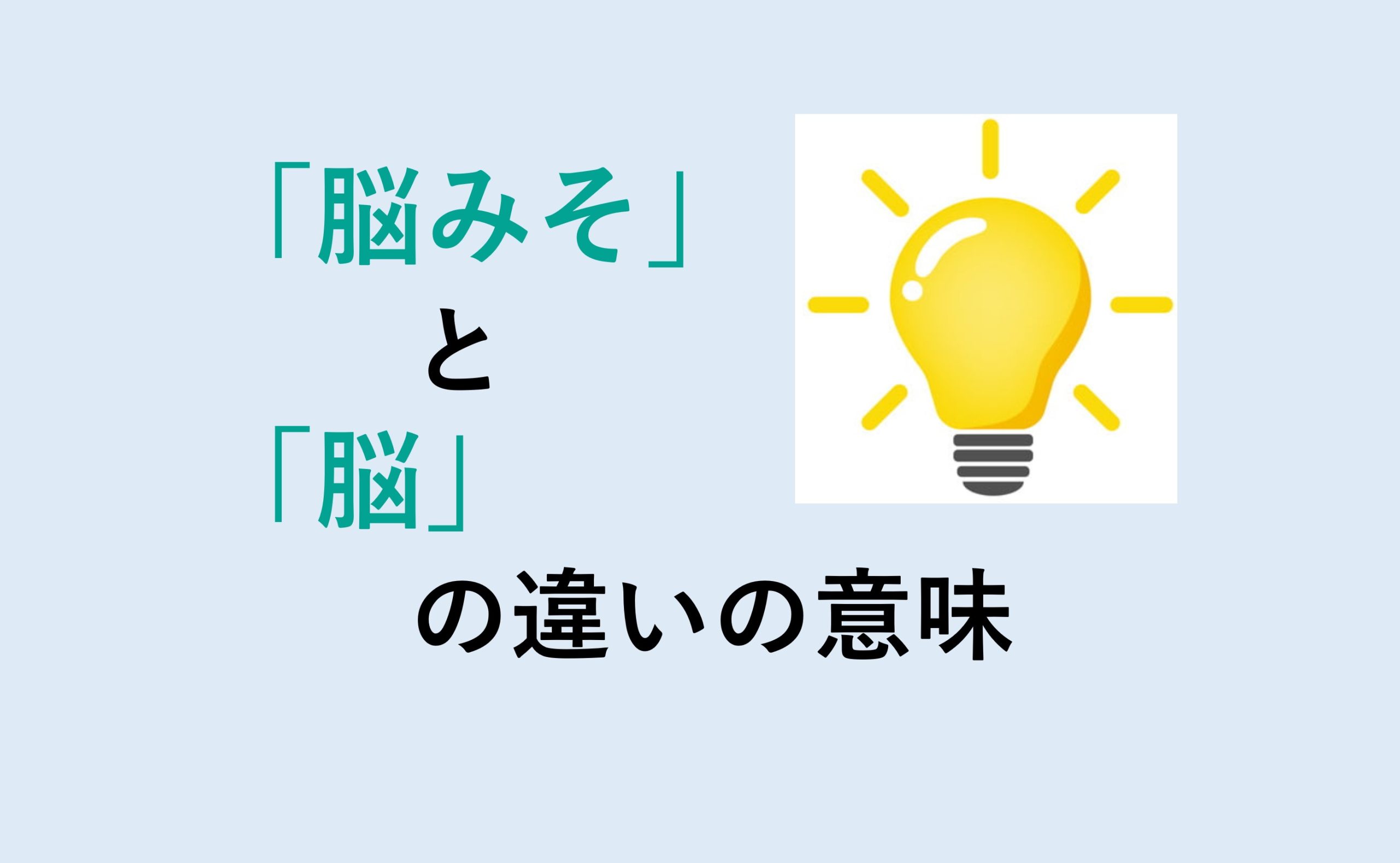 脳みそと脳の違いの意味を分かりやすく解説！