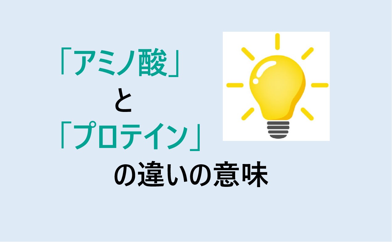 アミノ酸とプロテインの違い