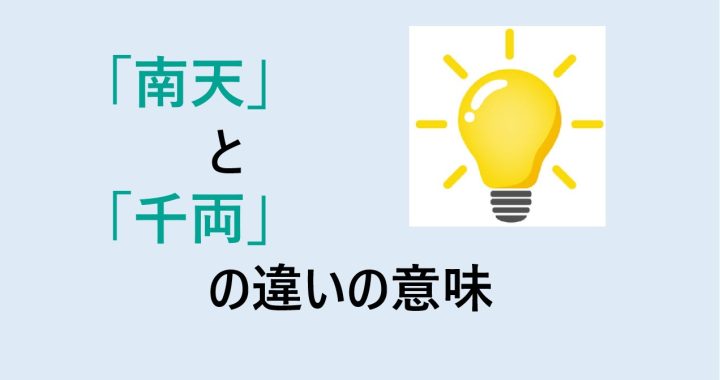 南天と千両の違いの意味を分かりやすく解説！