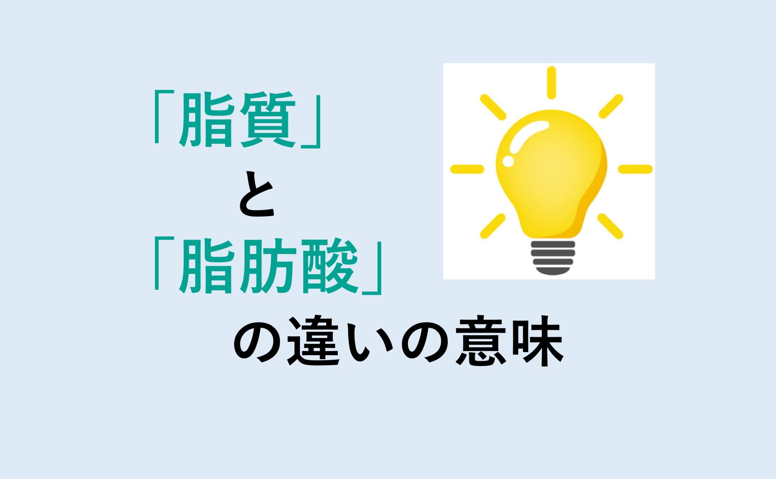 脂質と脂肪酸の違い