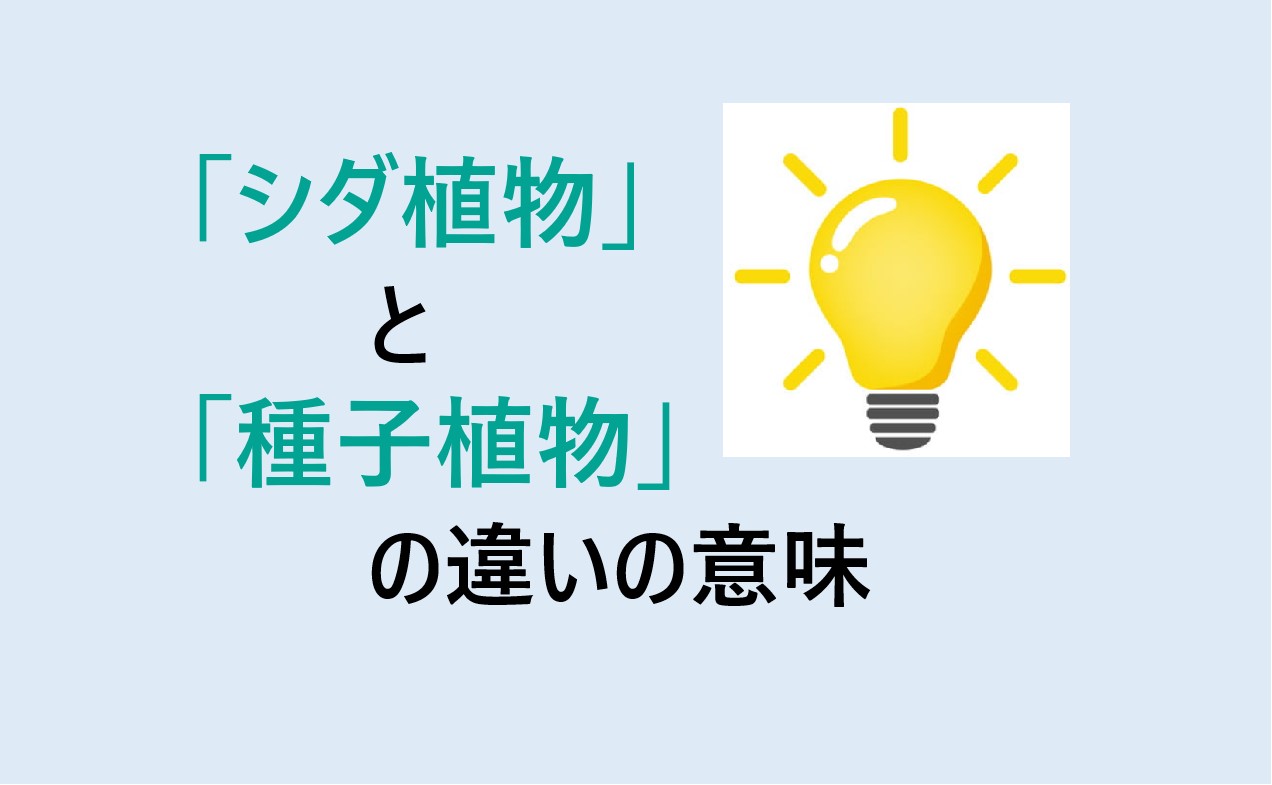 シダ植物と種子植物の違い