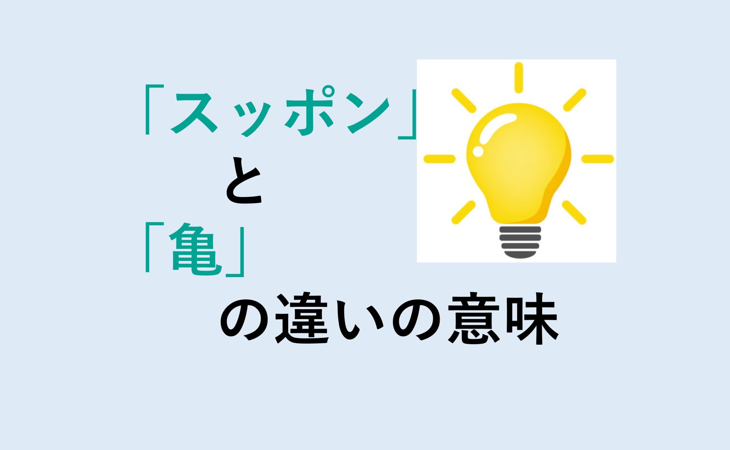 スッポンと亀の違い