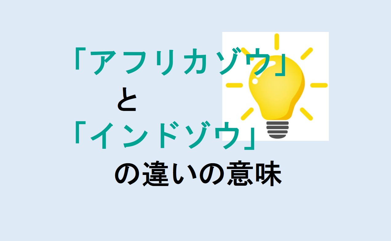 アフリカゾウとインドゾウの違い