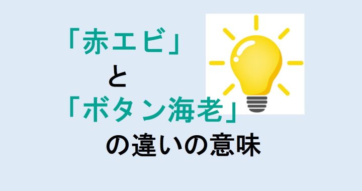 赤エビとボタン海老の違いの意味を分かりやすく解説！