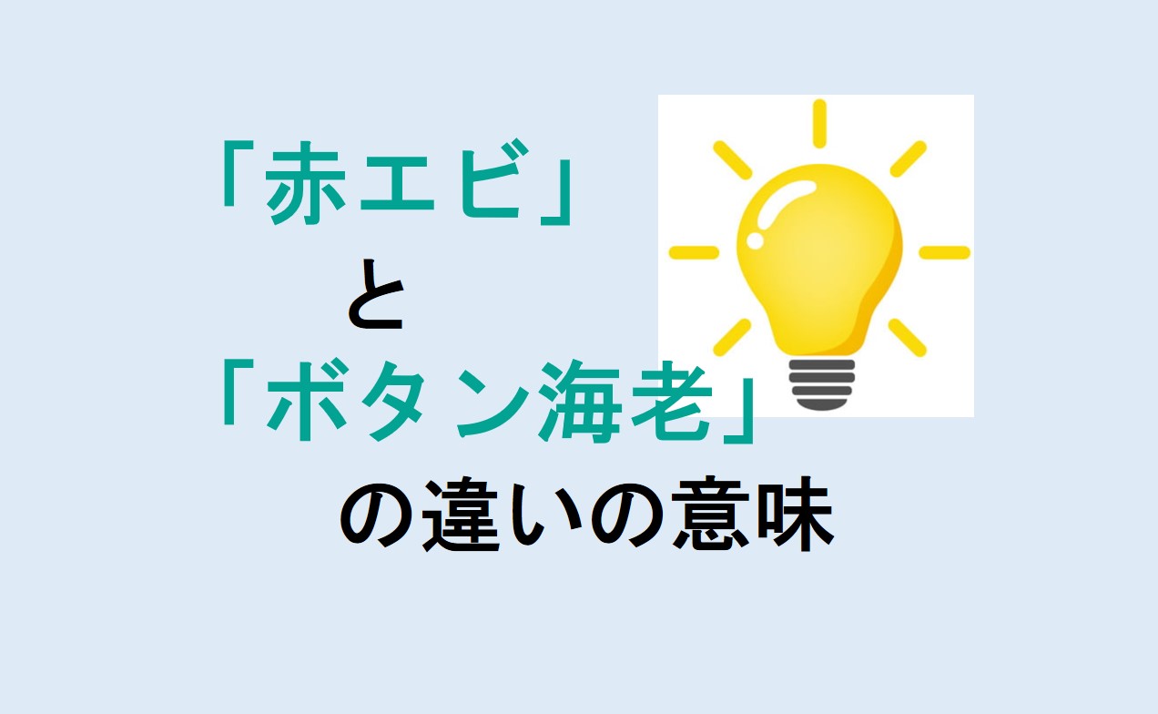 赤エビとボタン海老の違い