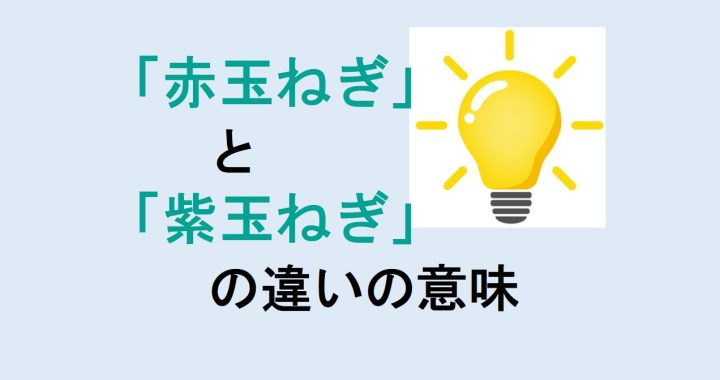 赤玉ねぎと紫玉ねぎの違いの意味を分かりやすく解説！