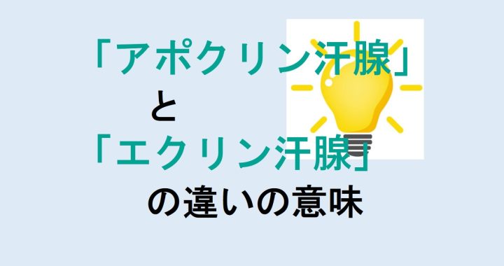 アポクリン汗腺とエクリン汗腺の違いの意味を分かりやすく解説！