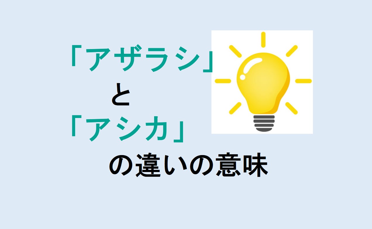 アザラシとアシカの違い