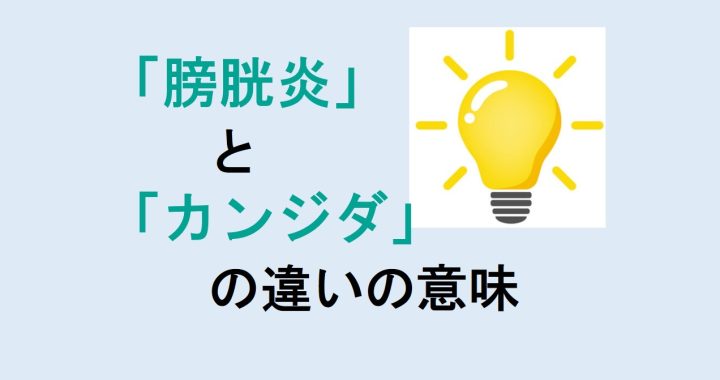 膀胱炎とカンジダの違いの意味を分かりやすく解説！