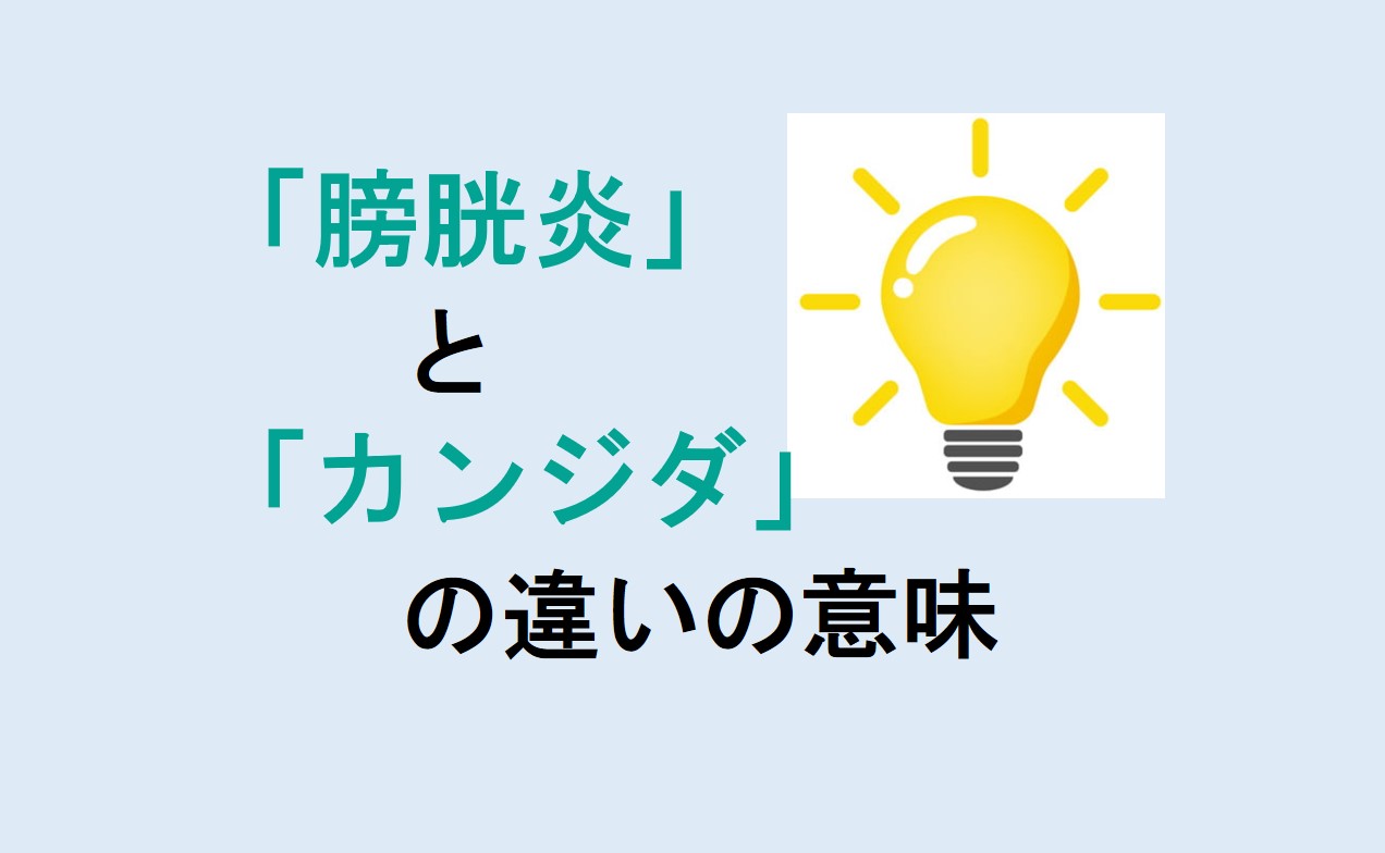 膀胱炎とカンジダの違い